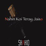 Shahid Songs MP3 Download